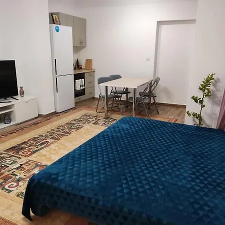 Apartment Ultracentral 4
